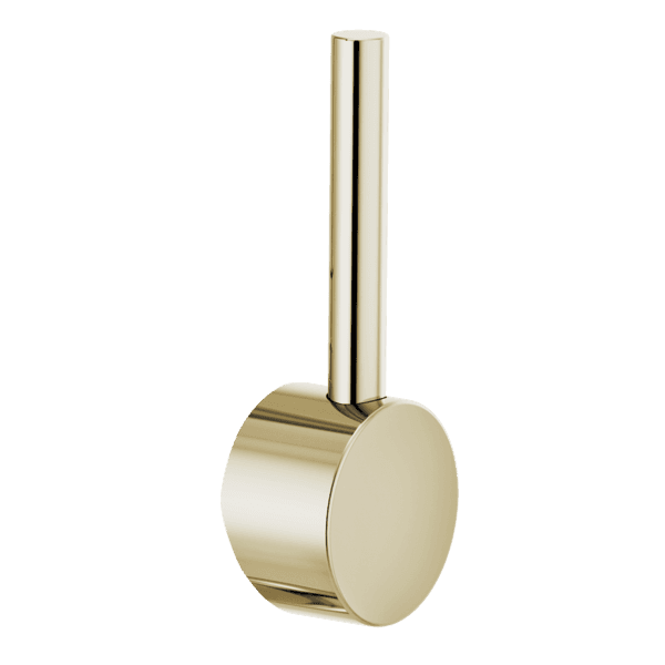 Brizo Odin®: Bar Faucet Metal Lever Handle Kit material