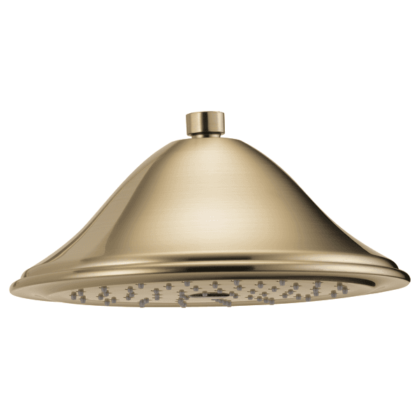 Brizo Brizo Traditional: Round Raincan Showerhead material
