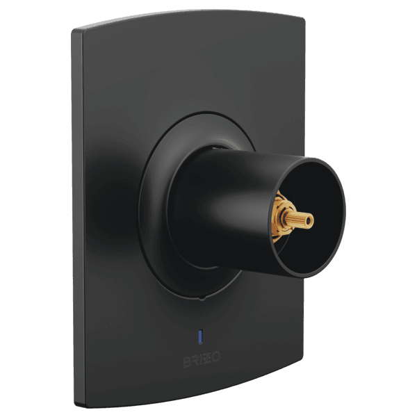 Brizo Kintsu®: Pressure Balance Valve Only Trim - Less Handles material