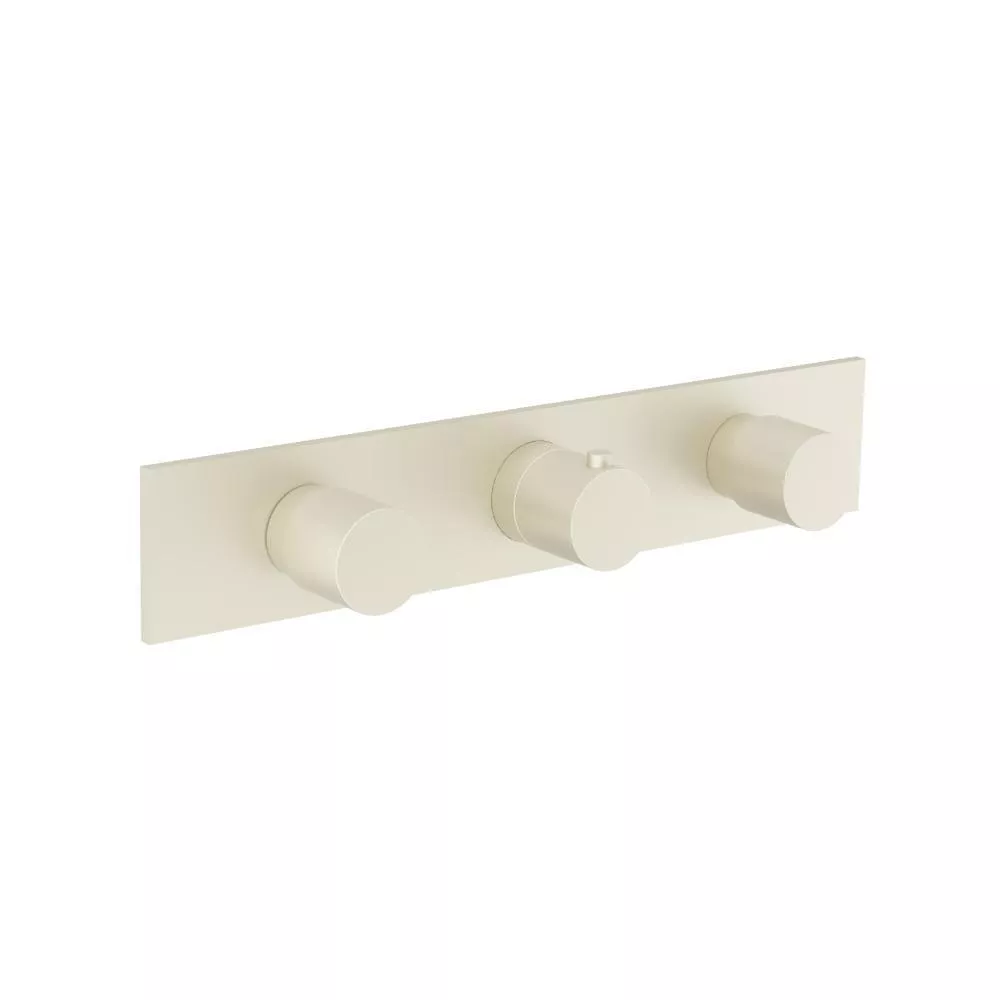 Light Tan 3/4" Horizontal Thermostatic Valve with 2 Volume Controls & Trim material