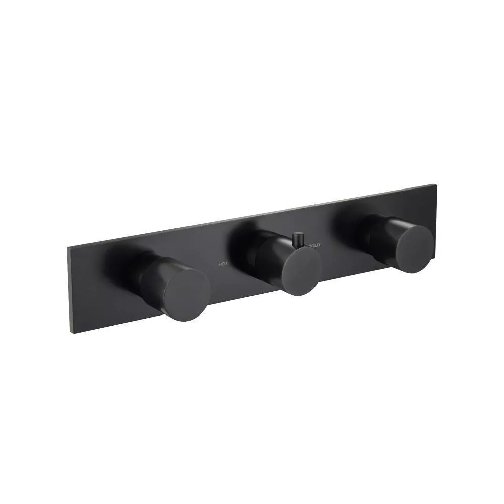 Matte Black 3/4" Horizontal Thermostatic Valve with 2 Volume Controls & Trim material