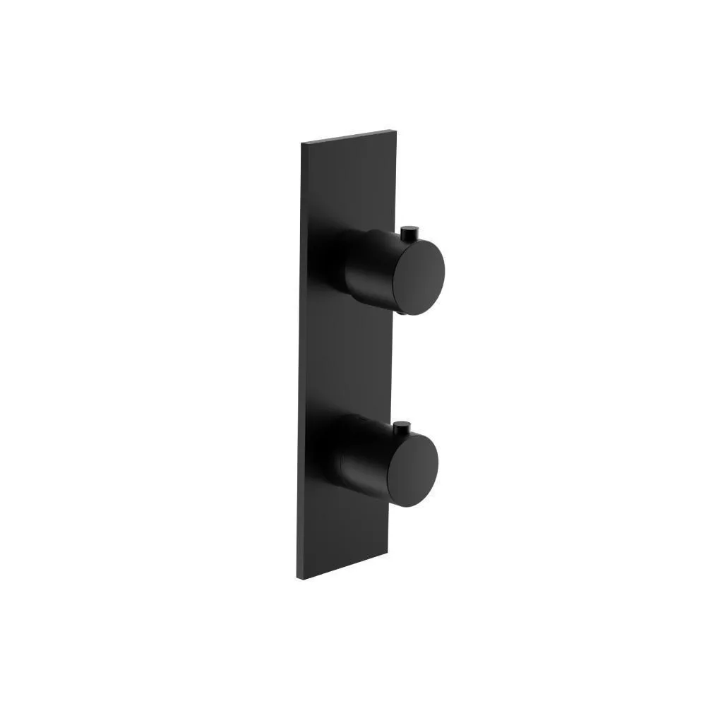 Gloss Black 3/4" Horizontal Thermostatic Shower Valve & Trim - 1- Output material