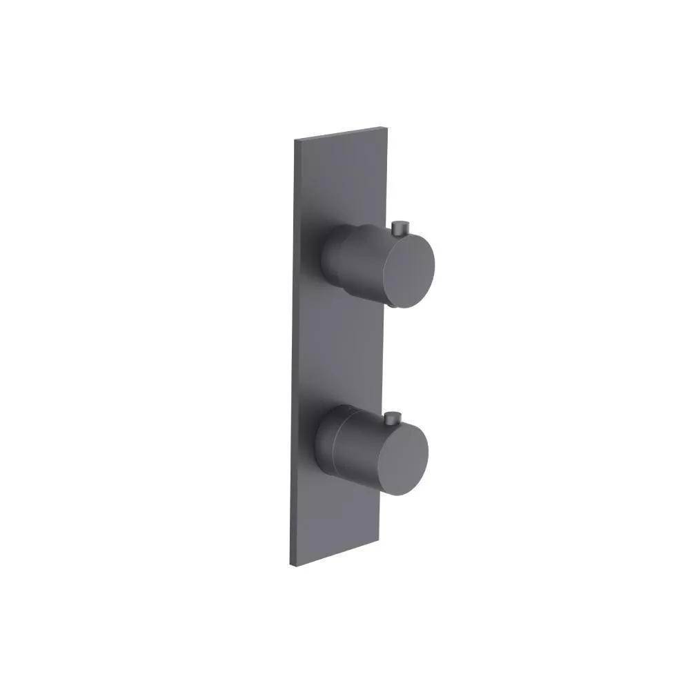 Dark Grey 3/4" Thermostatic Shower Valve & Trim - 2-Output material