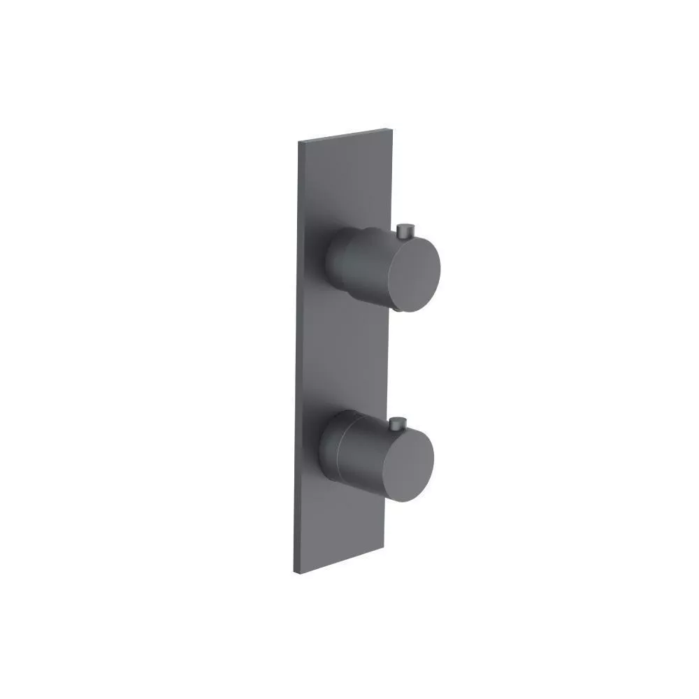 Rock Grey 3/4" Thermostatic Shower Valve & Trim - 2-Output material