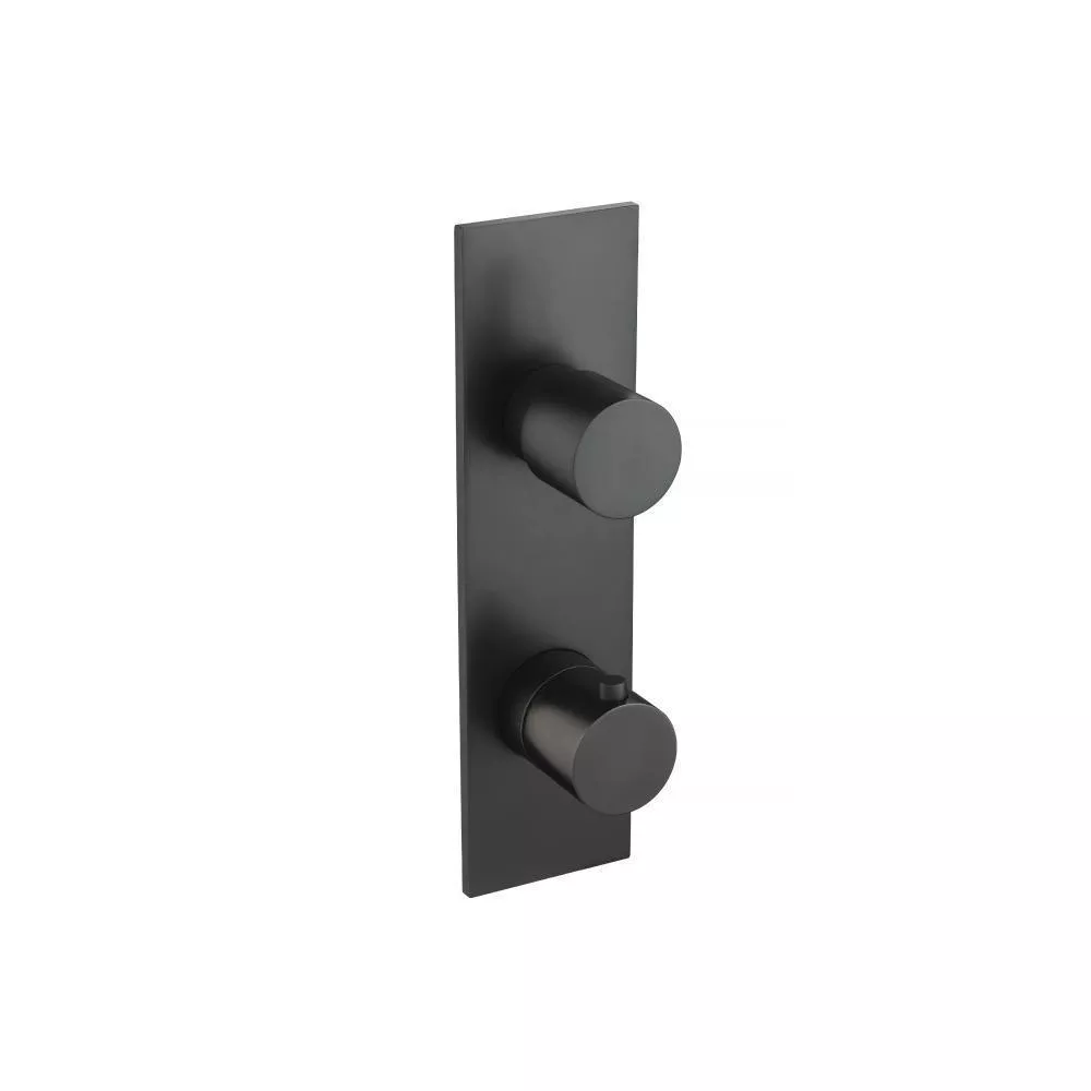 Matte Black Trim For Thermostatic Valve material