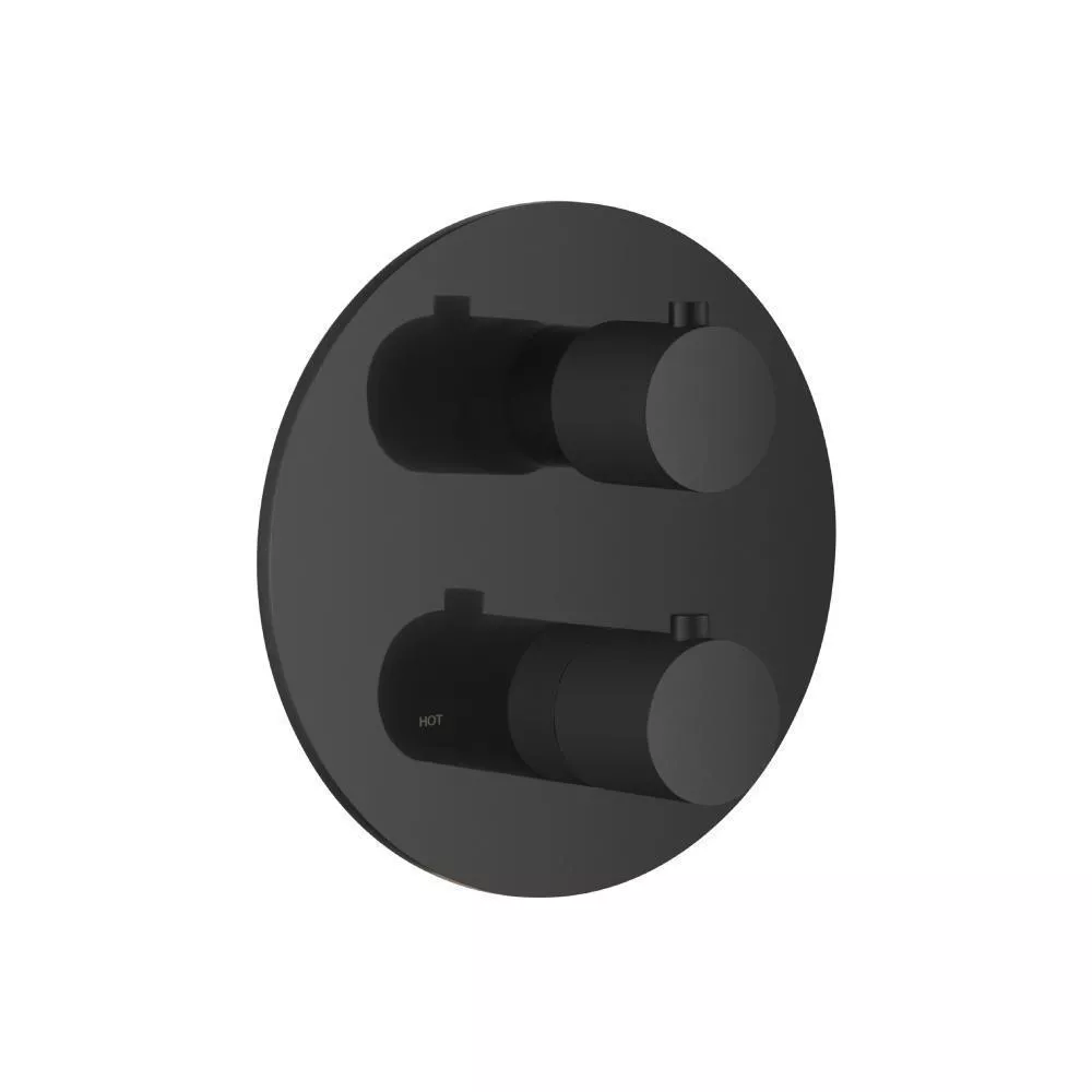 Matte Black 3/4" Thermostatic Shower Valve & Trim - 1 Output material