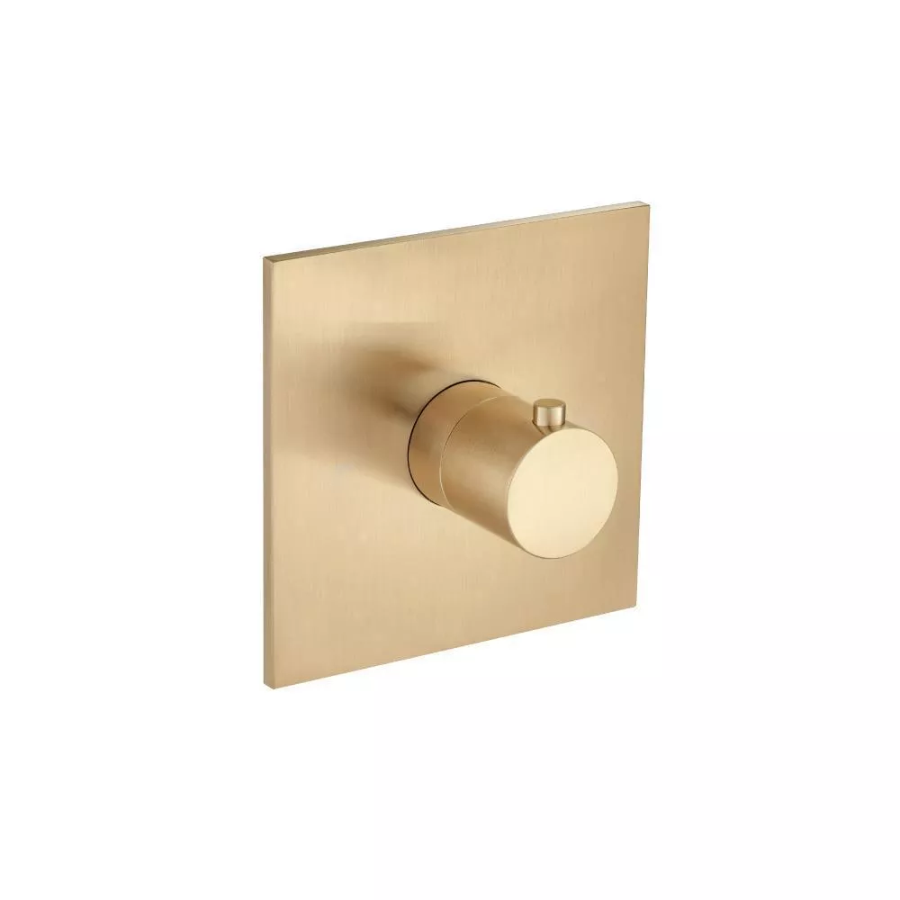 Brushed Bronze PVD 3/4" Thermostatic Valve With Trim material