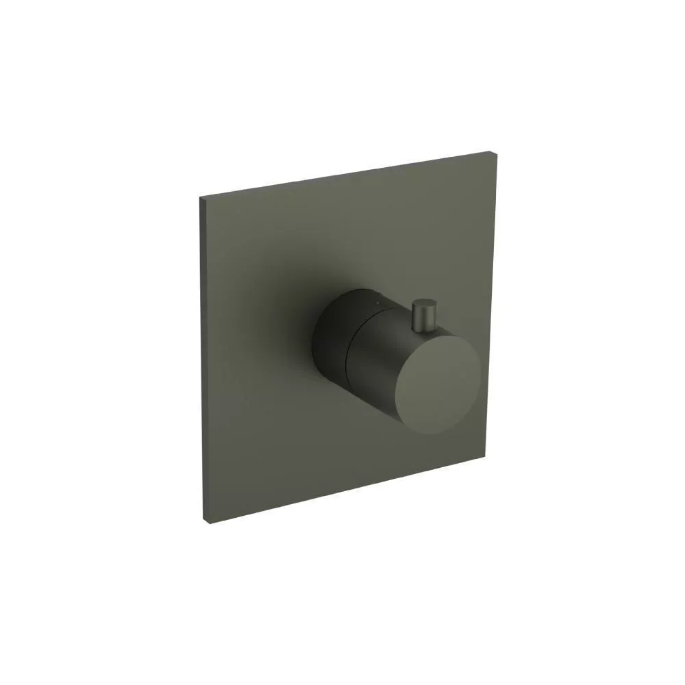 Dark Green 3/4" Thermostatic Valve With Trim material