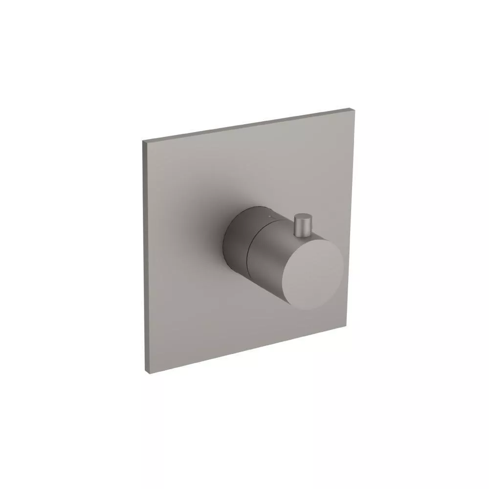 Steel Grey 3/4" Thermostatic Valve With Trim material