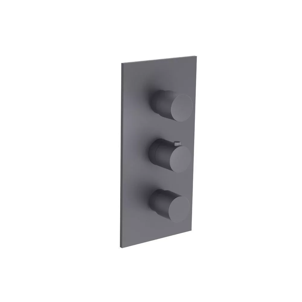 Dark Grey 3/4" Thermostatic Valve and Trim - 2 Outputs material