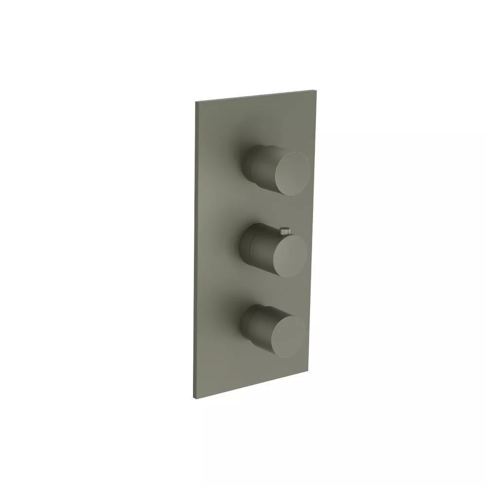 Gun Metal Grey 3/4" Thermostatic Valve and Trim - 2 Outputs material