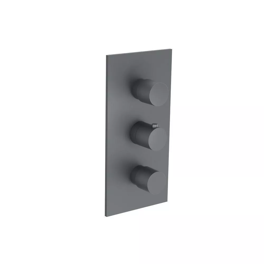 Rock Grey 3/4" Thermostatic Valve and Trim - 2 Outputs material