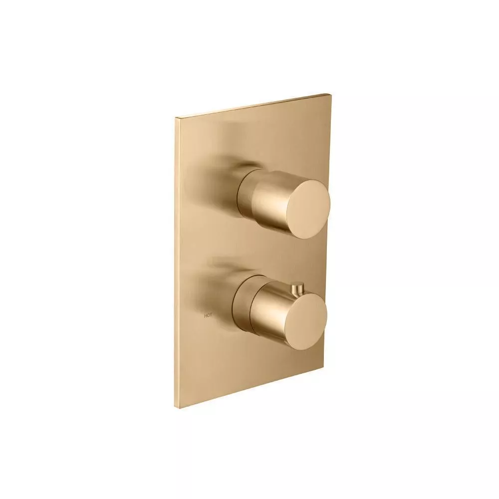 Brushed Bronze PVD 3/4 " Thermostatic Valve & Trim - With 2-Way Diverter - 2 Output material