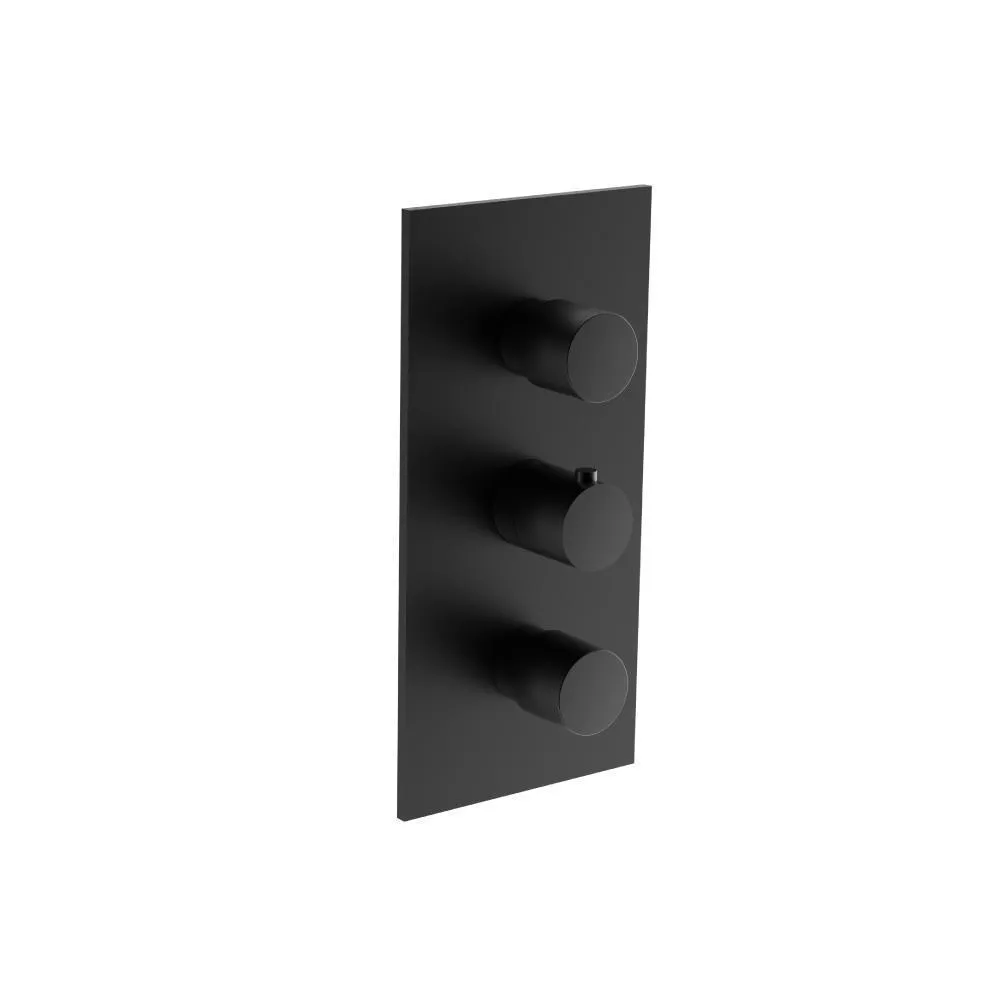 Gloss Black 3/4" Thermostatic Valve With Trim - 3 Output material