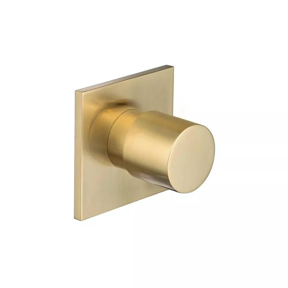Satin Brass PVD 3/4" Volume Control & Trim material