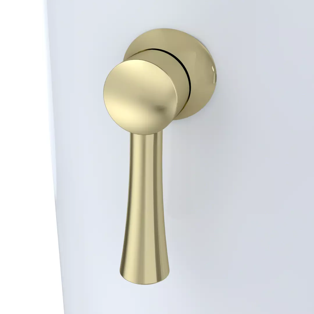 TRIP LEVER - POLISHED BRASS For NEXUS TOILET material
