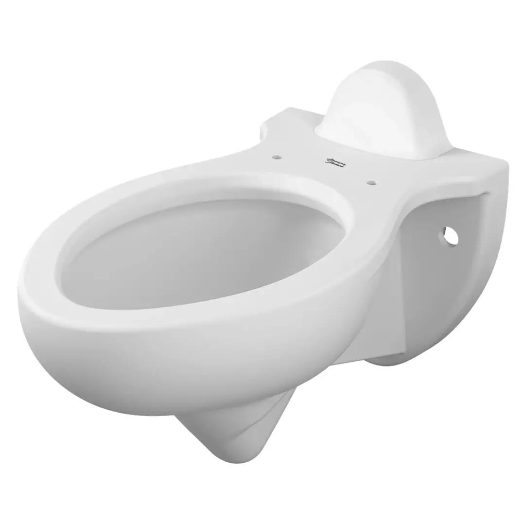 Rapidway 1.6 gpf/6.0 Lpf Back Spud Elongated Wall-Hung Bowl material