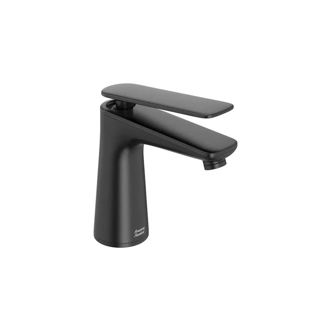 Aspirations Single-Handle Bathroom Faucet 1.2 gpm/4.5 L/min With Lever Handle material