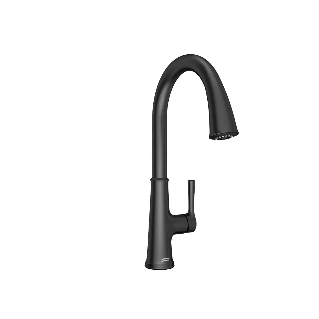 Renate Single-Handle Pull-Down Dual Spray Kitchen Faucet 1.5 gpm/5.7 Lpm material