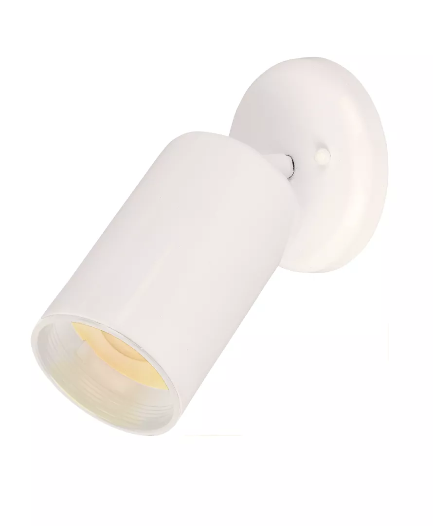 Spots 1-Light Can Wall/Flush Mount material