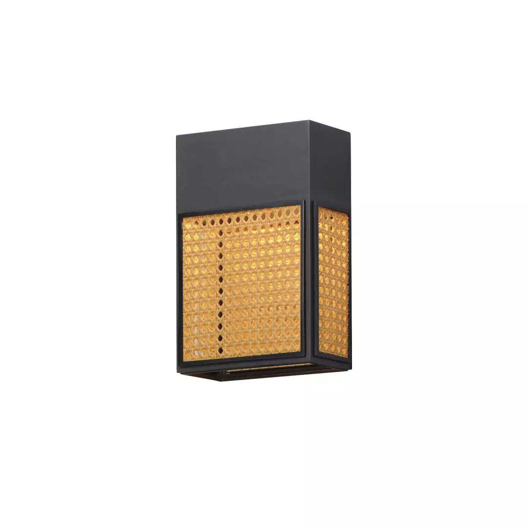 Lattice 12" LED Outdoor Sconce Dark Sky material