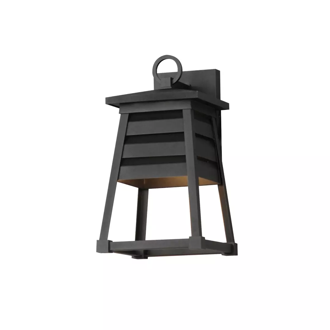 Shutters 1-Light Small Outdoor Wall Sconce material