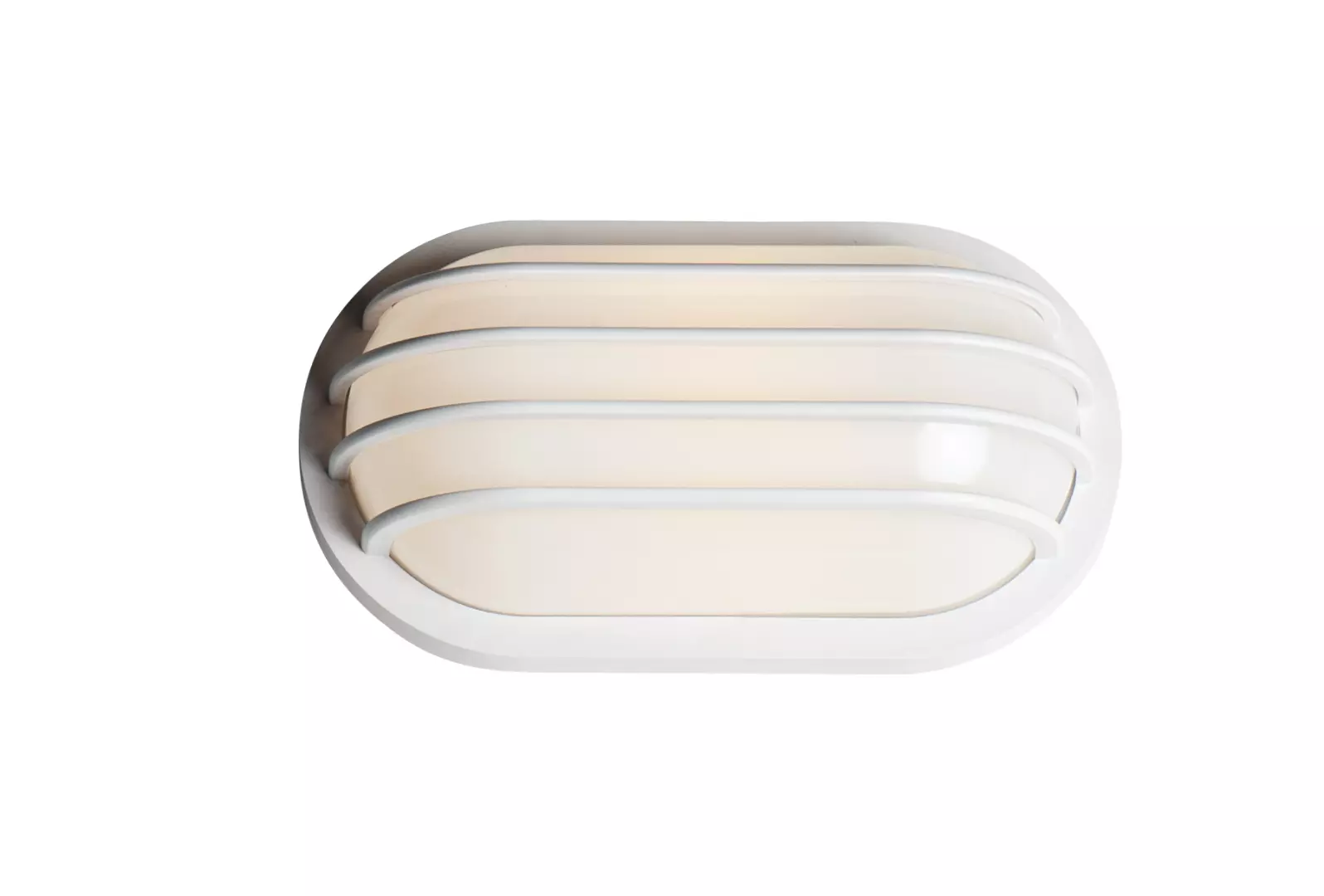 Bulwark 1-Light Outdoor Wall Sconce material