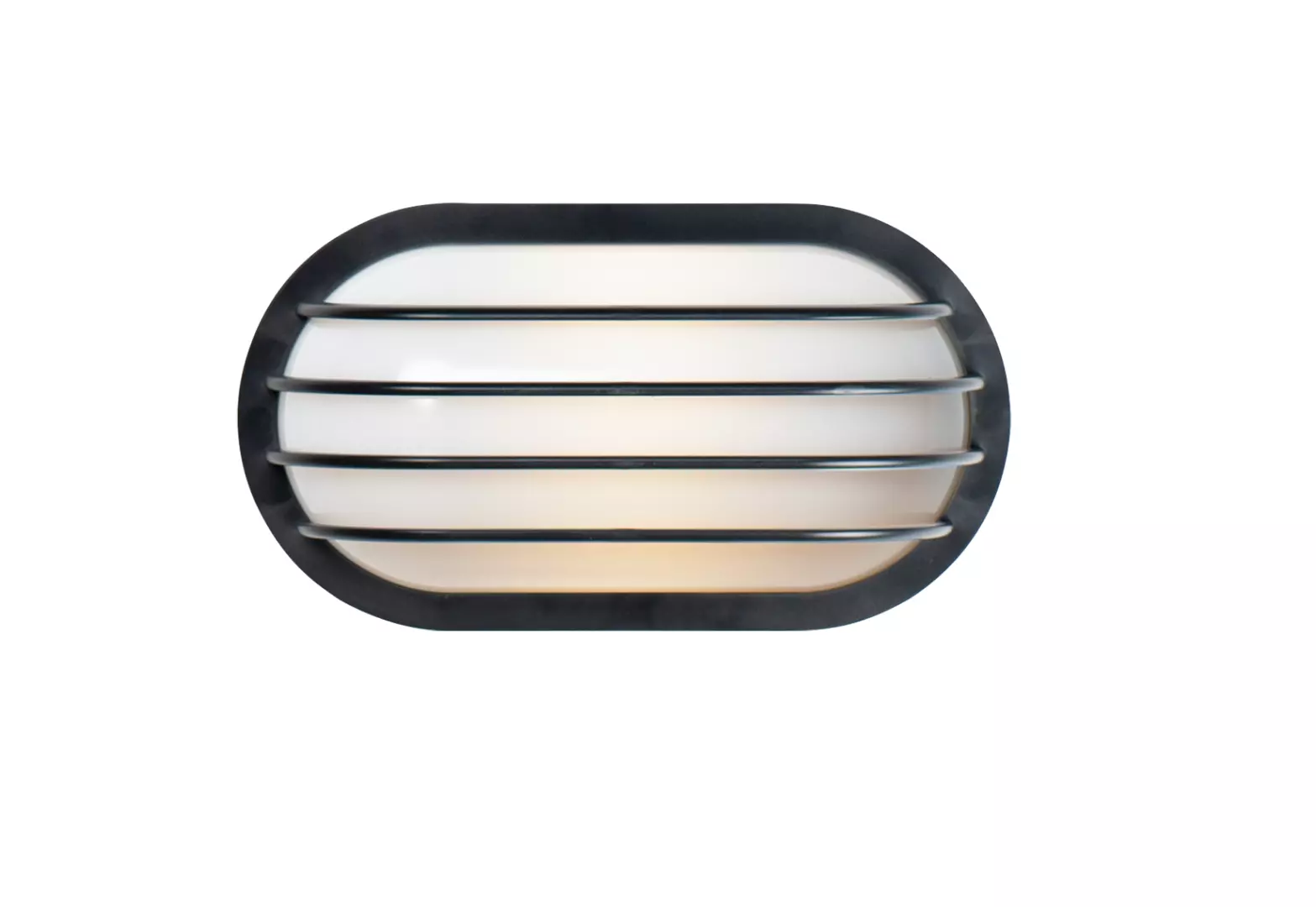 Bulwark 1-Light Outdoor Wall Sconce material