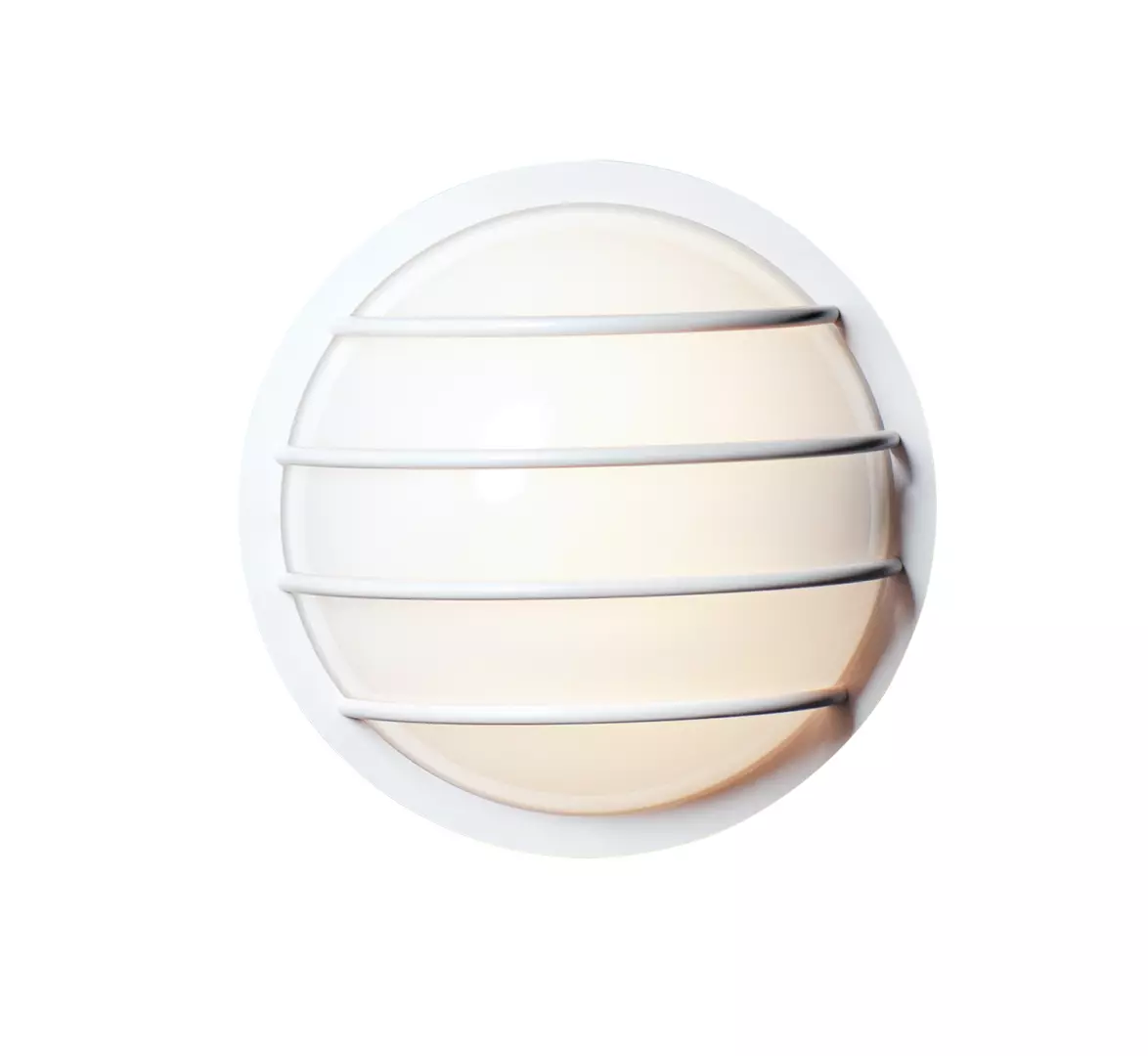 Bulwark 1-Light Outdoor Wall Sconce material