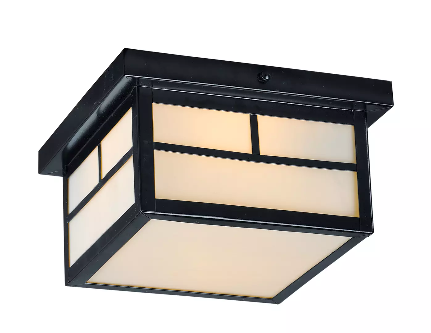 Coldwater 2-Light Outdoor Ceiling Mount material