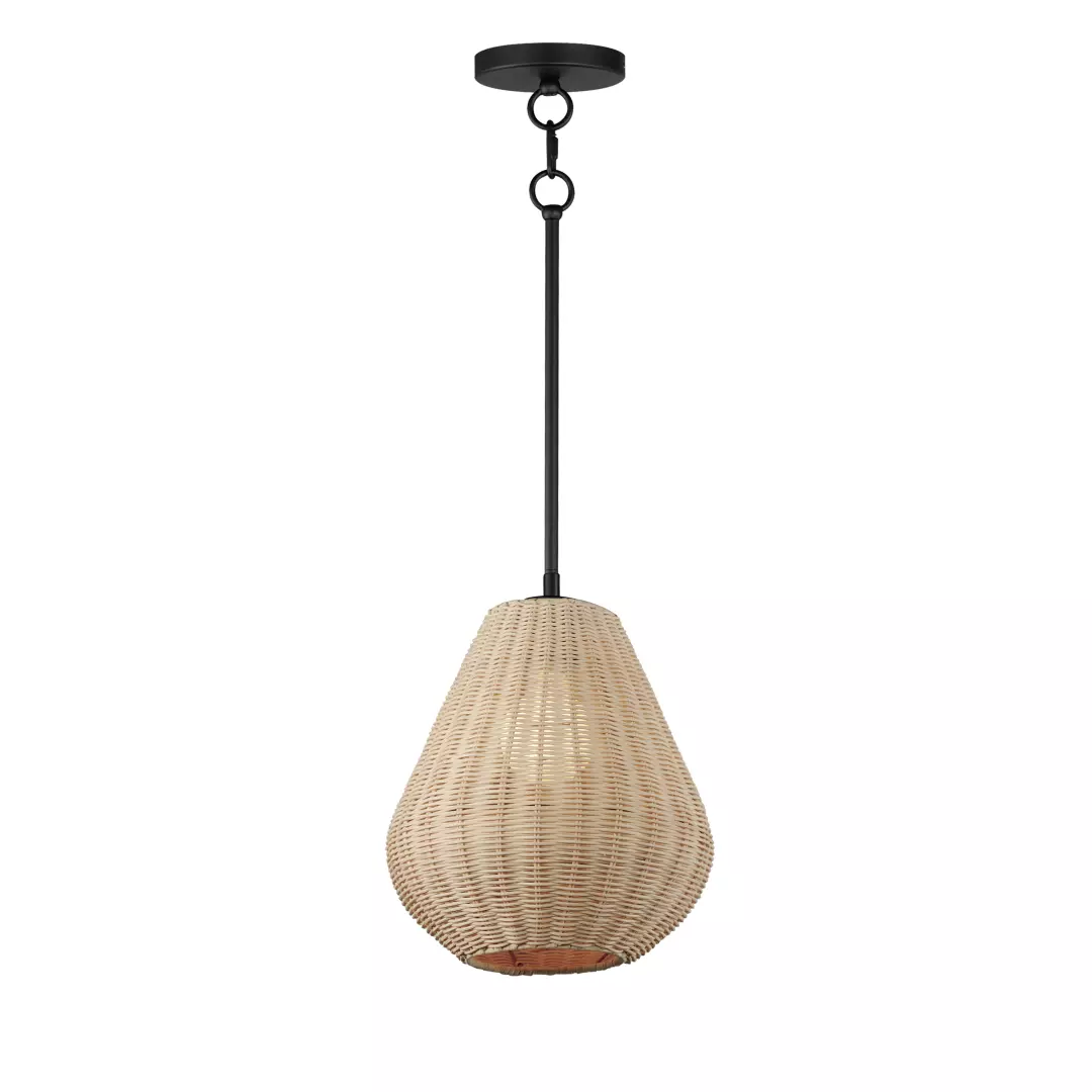 Maldives 1-Light Pendant material