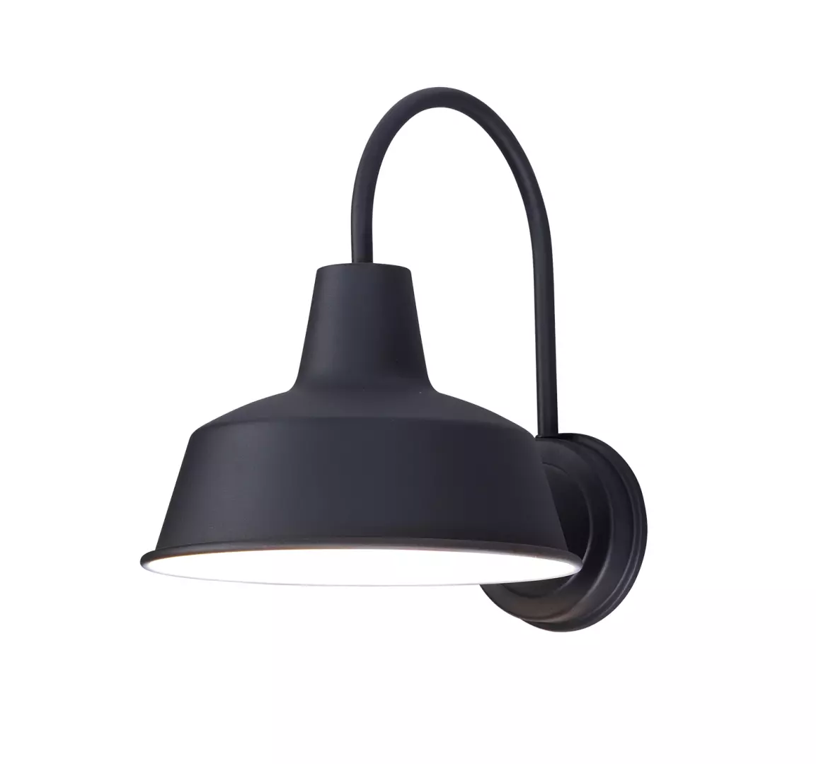 Pier M 1-Light Outdoor Wall Sconce material