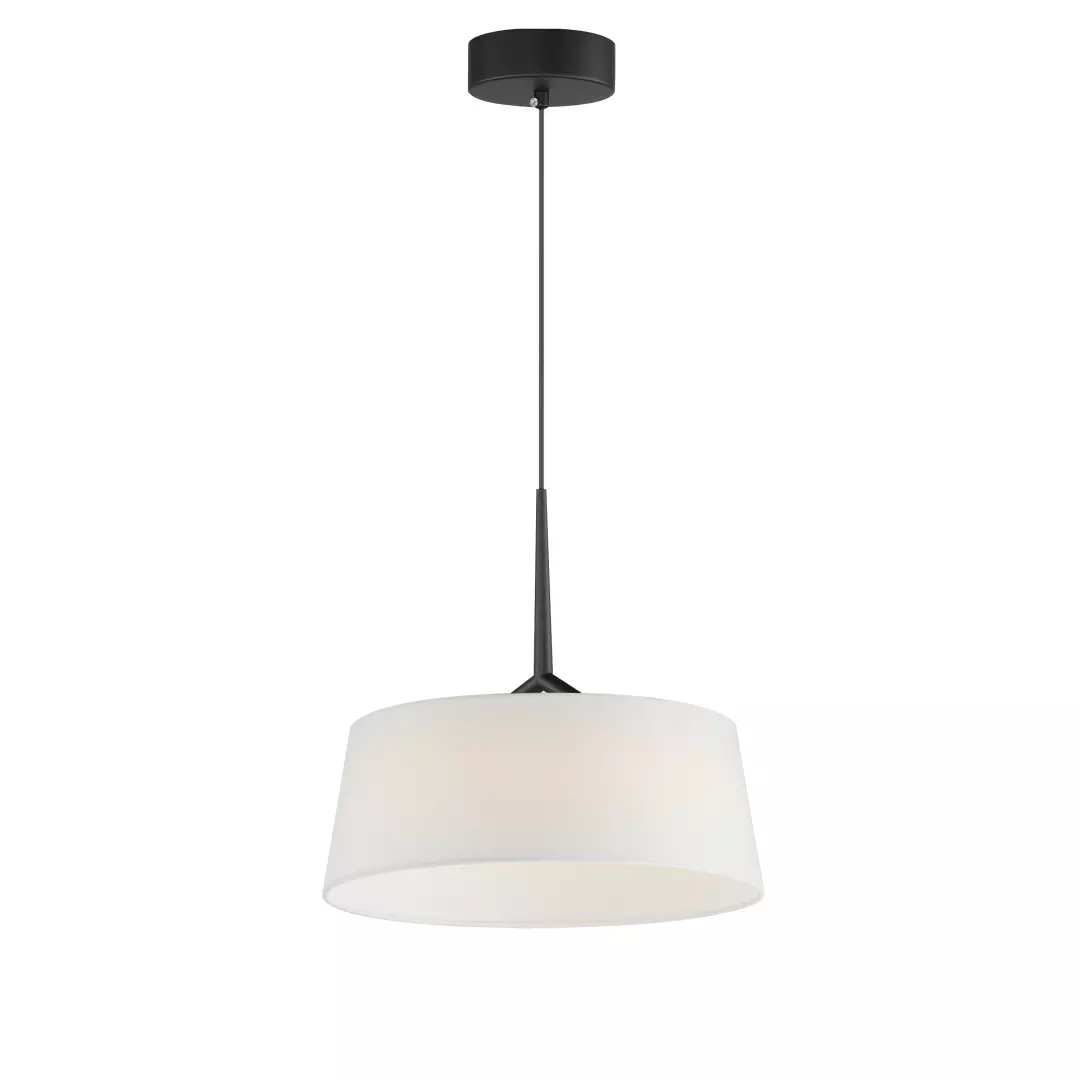 Paramount 16" LED Pendant material