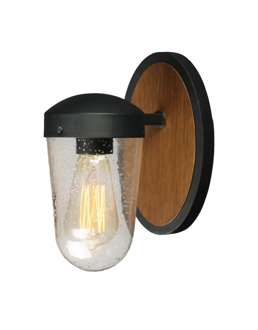 Lido 1-Light Outdoor Wall Sconce material