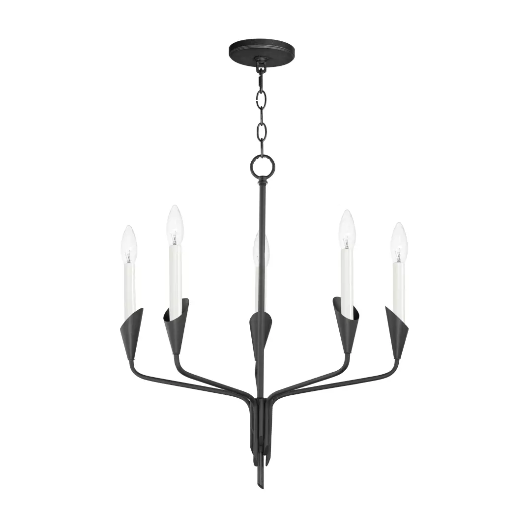 Calyx 5-Light Chandelier material