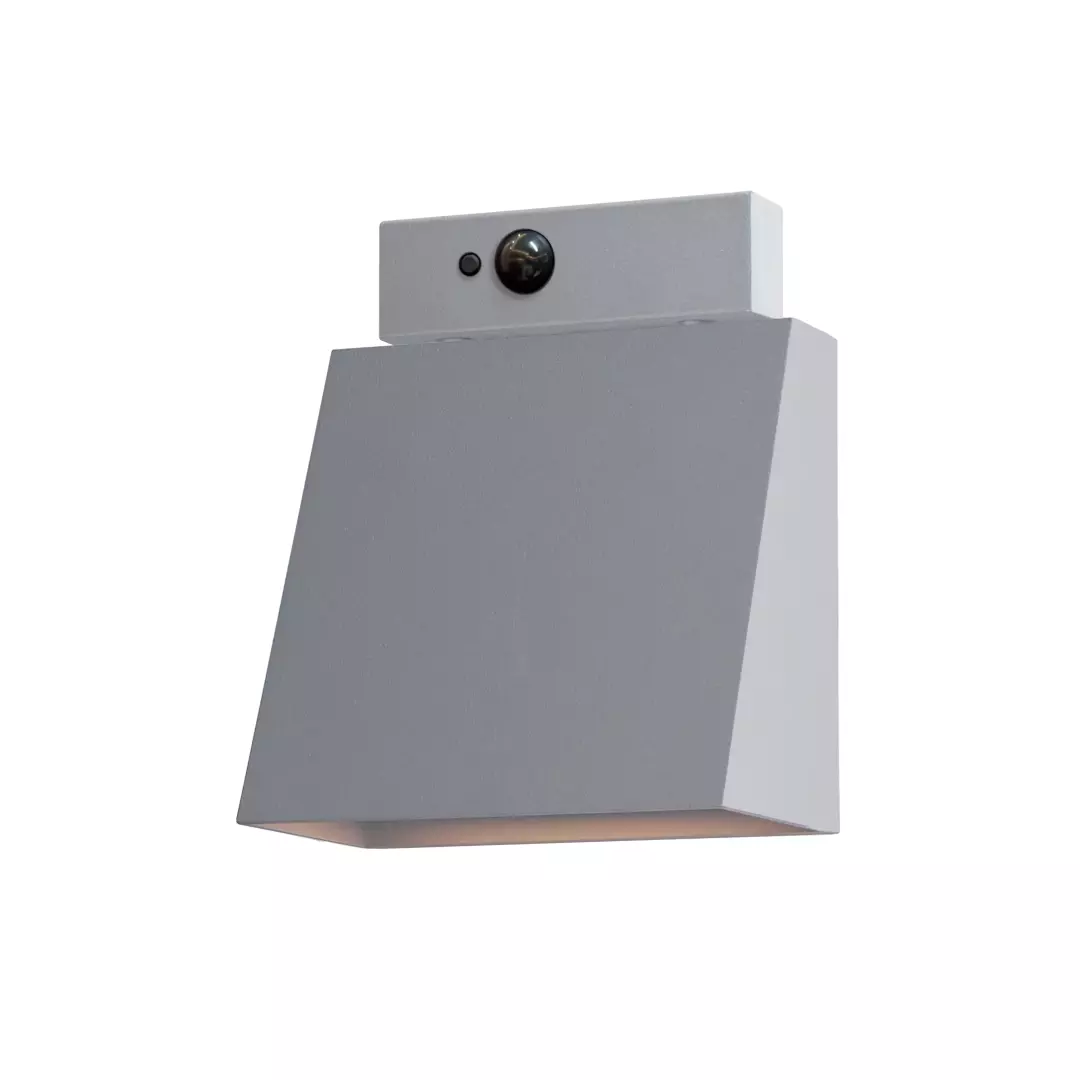 Pathfinder LED Outdoor Sconce W/ MSP material