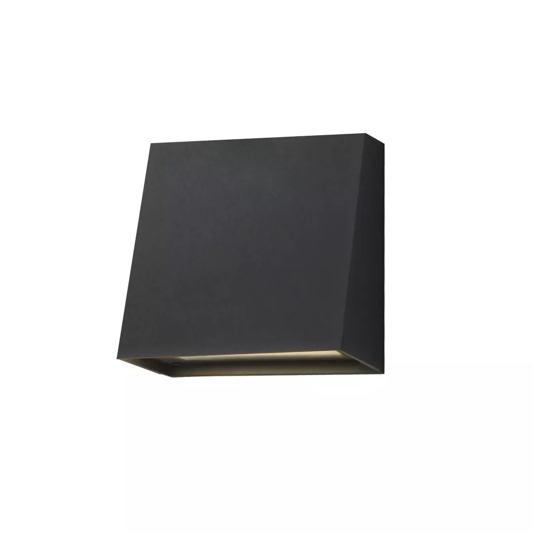 Pathfinder LED Outdoor Wall Sconce - 5CCT material