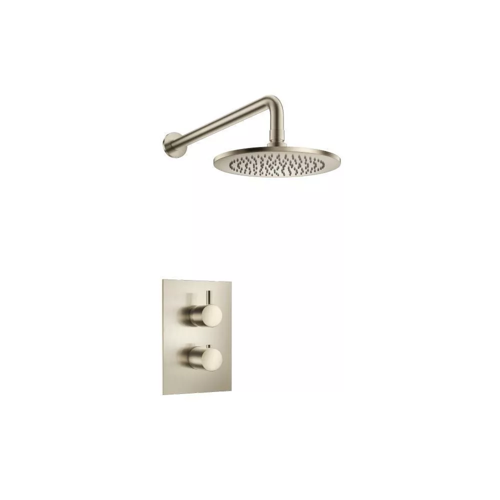 Brushed Nickel PVD Single Output Shower Set With Shower Head And Arm material