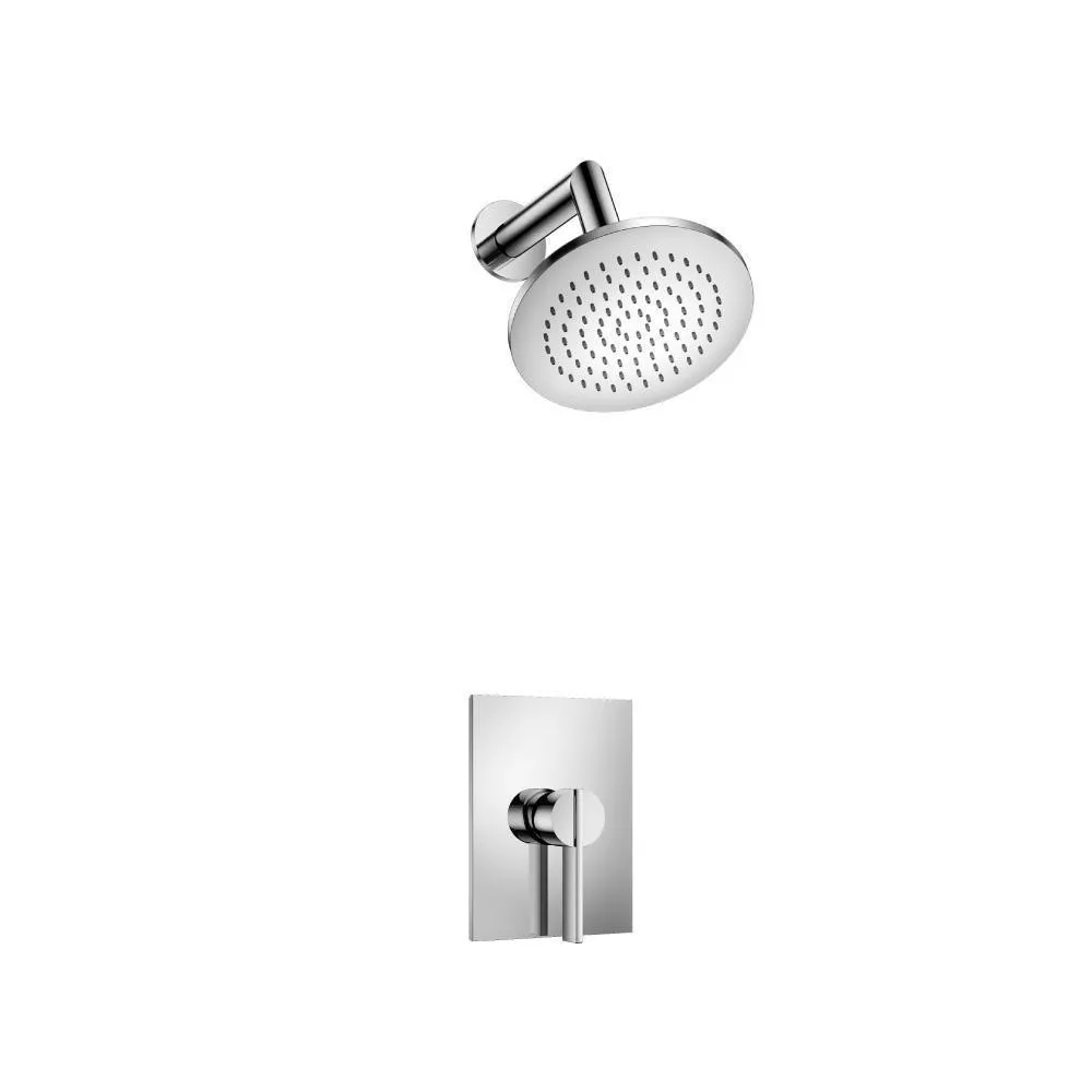 Chrome Single Output Shower Set With Brass Shower Head & Arm material