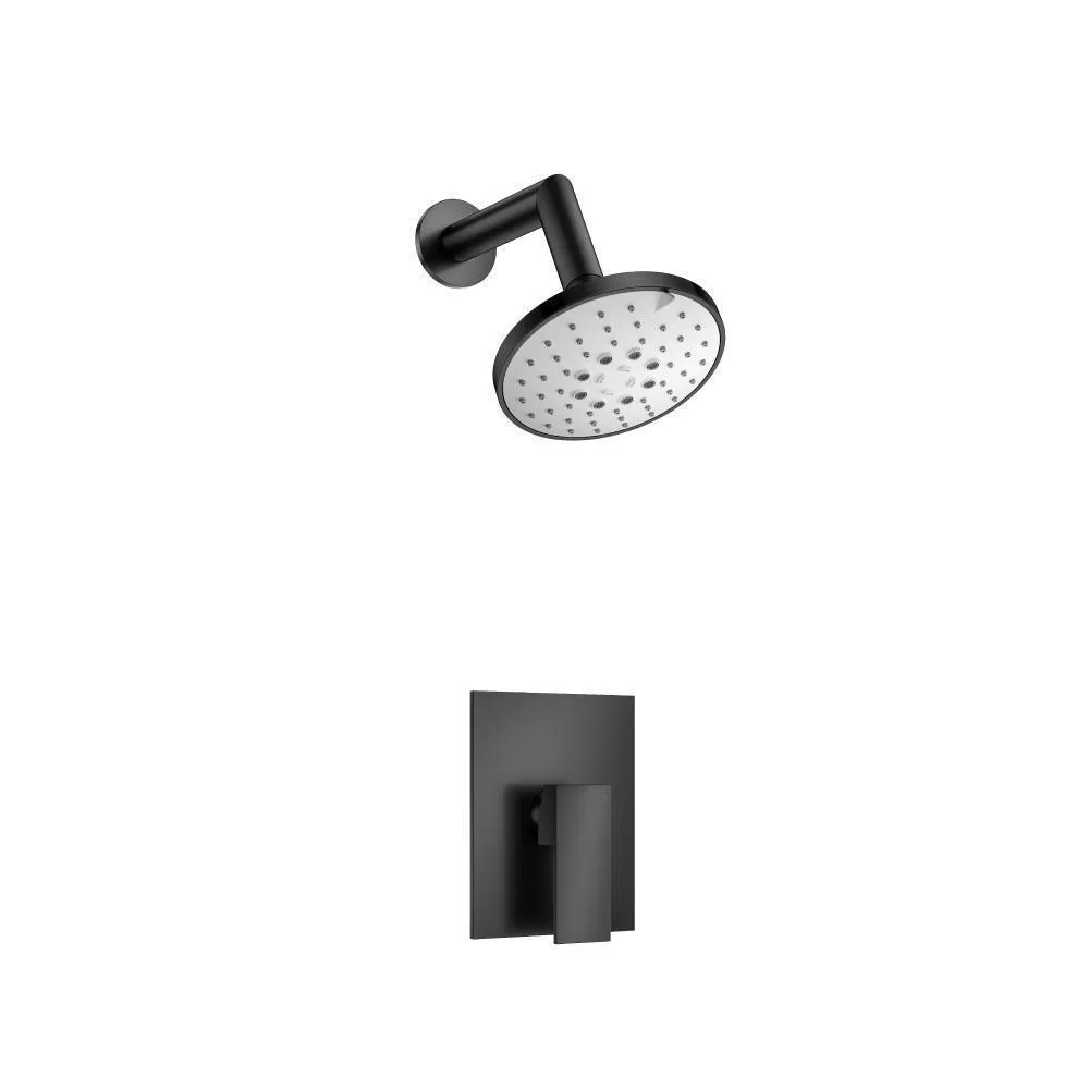 Matte Black Single Output Shower Set With ABS Shower Head & Arm material