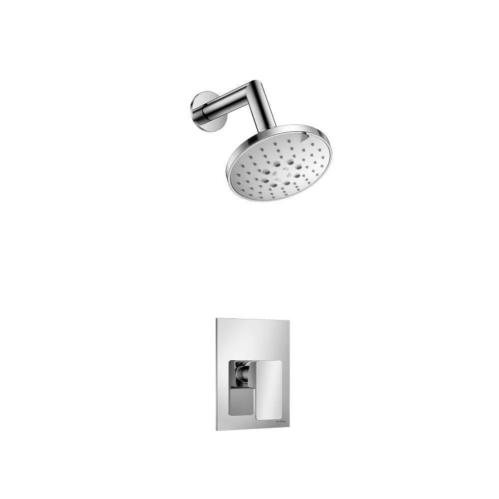 Chrome Single Output Shower Set With ABS Shower Head & Arm material