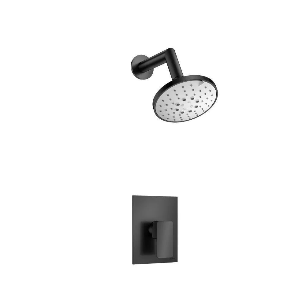 Matte Black Single Output Shower Set With ABS Shower Head & Arm material