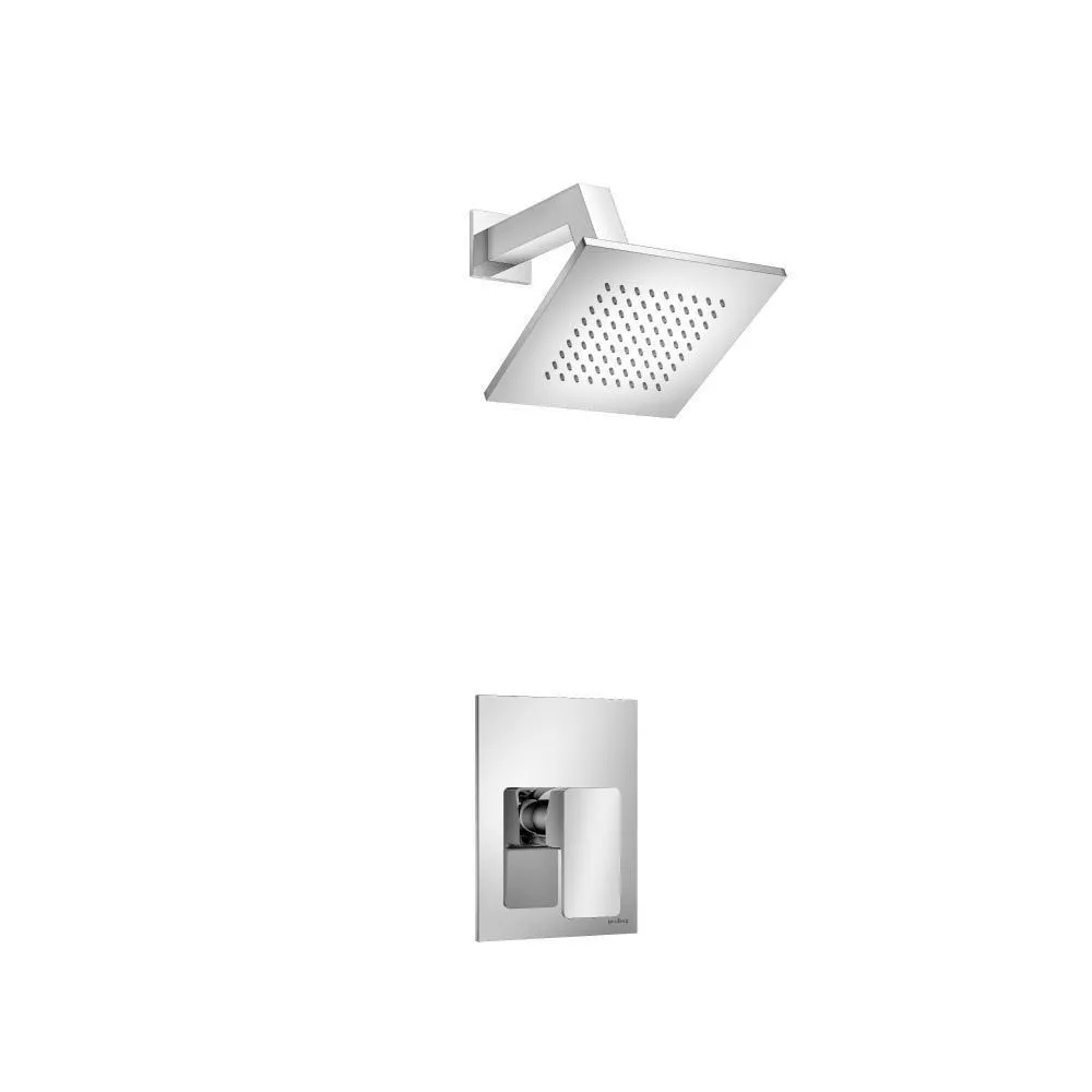 Chrome Single Output Shower Set With Brass Shower Head & Arm material