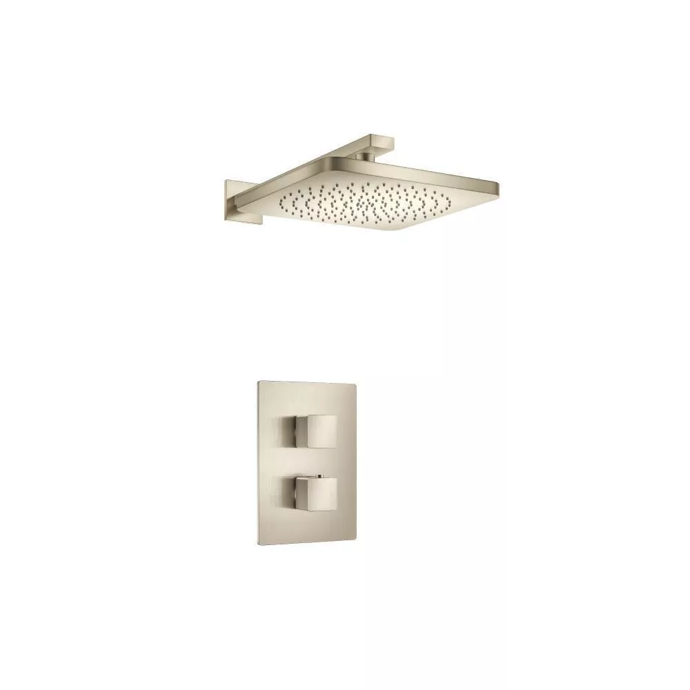 Brushed Nickel PVD Single Output Shower Set With Shower Head And Arm material