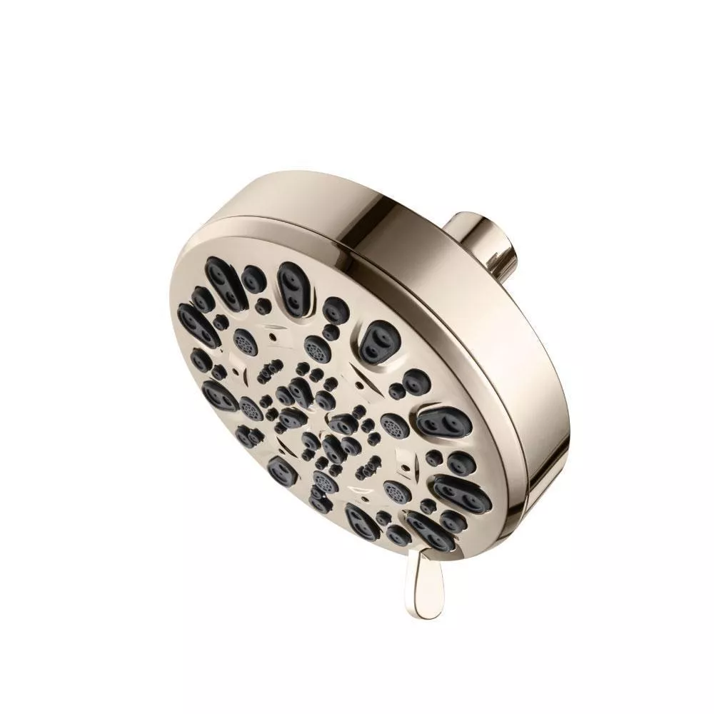 Polished Nickel PVD 6-Function ABS Showerhead material
