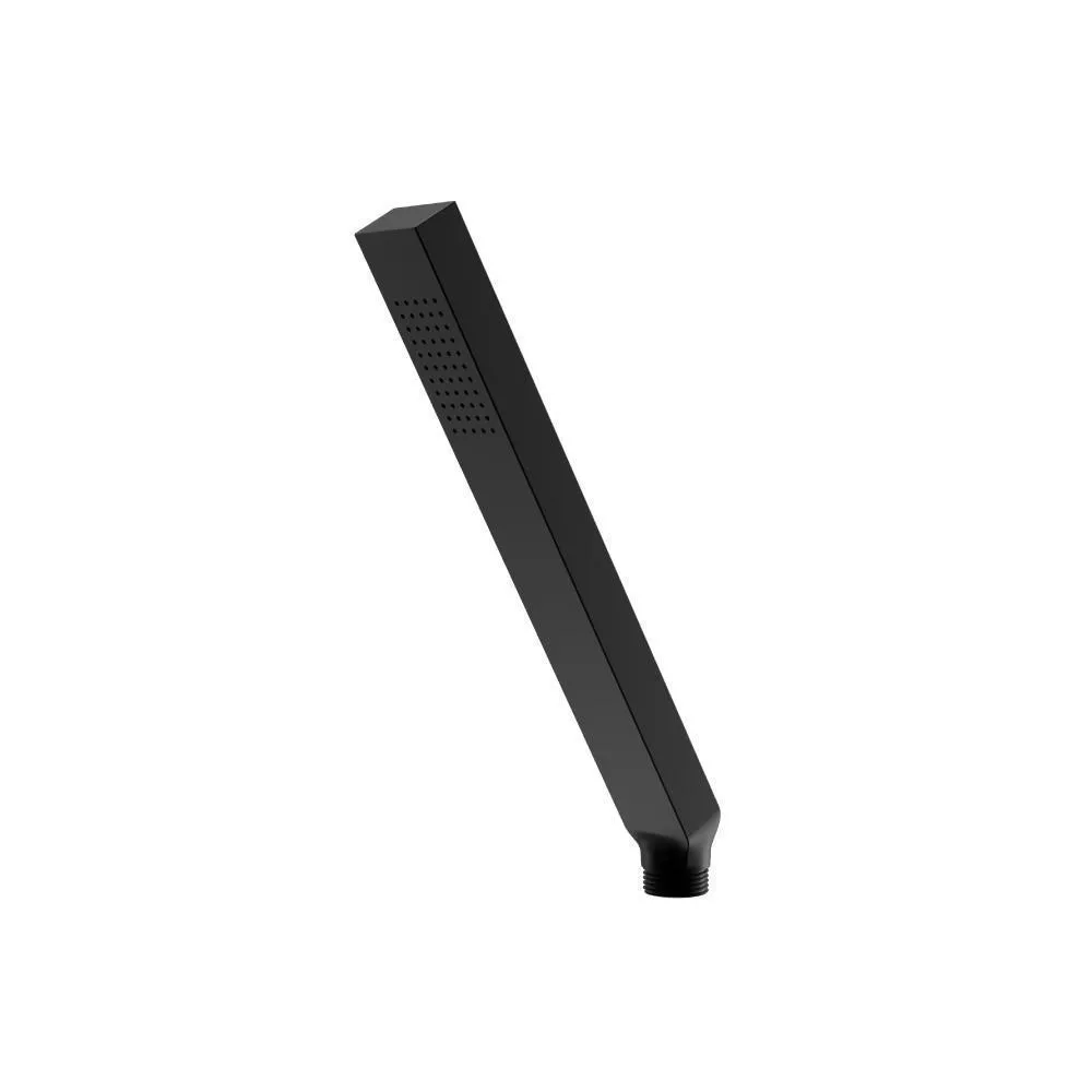 Gloss Black Single Function Hand Held Shower Head material