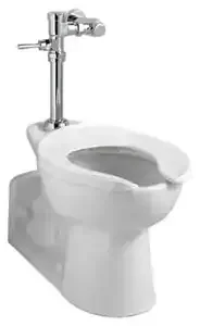 Ultima Manual Toilet Flush Valve, Piston-Type, 1.6 gpf/6.0 Lpf material