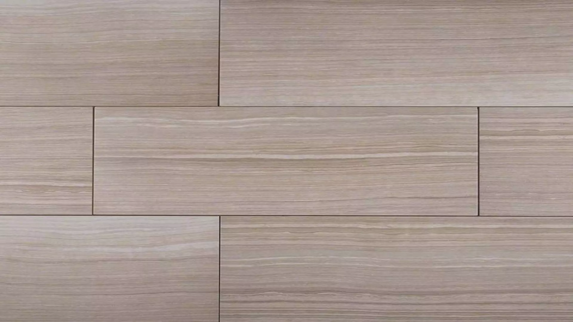 Eramosa Silver 12X24 Matte material