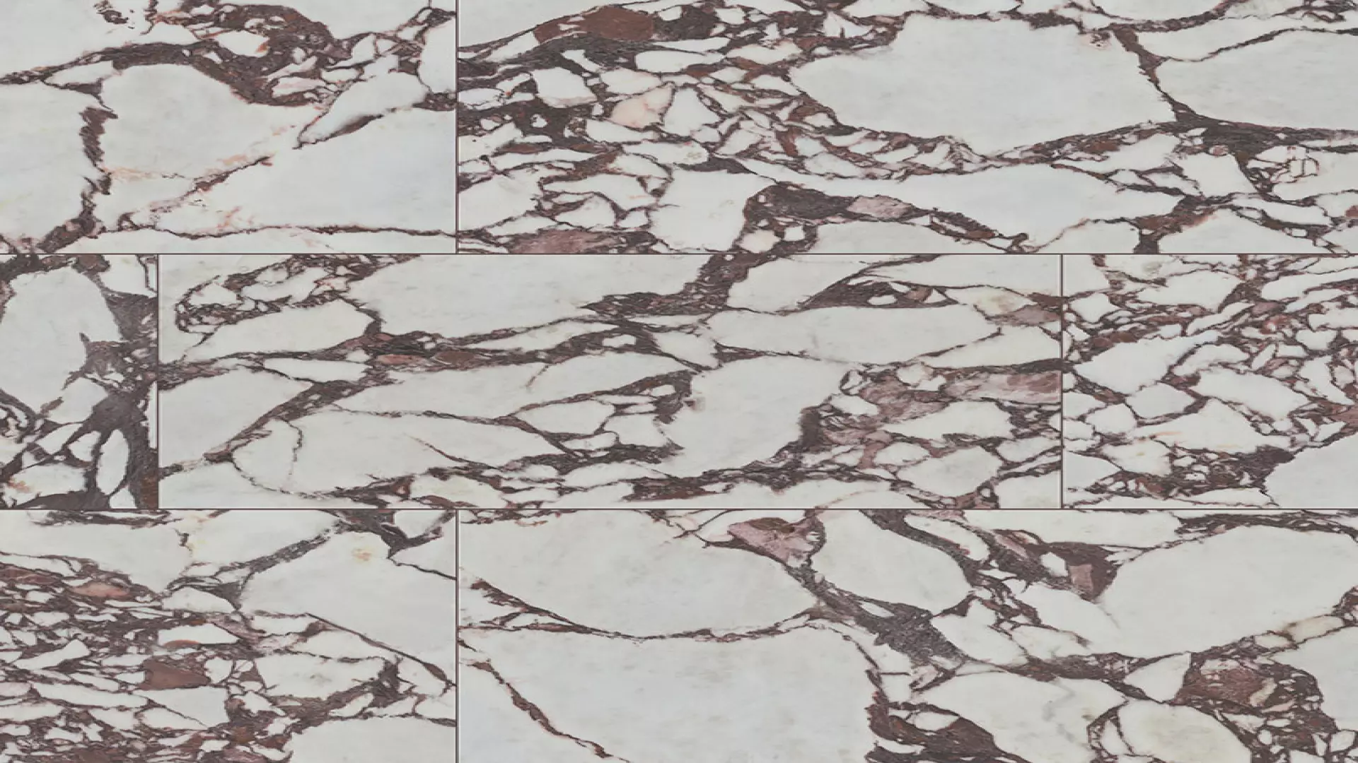 Violetta 24X48 Polished material