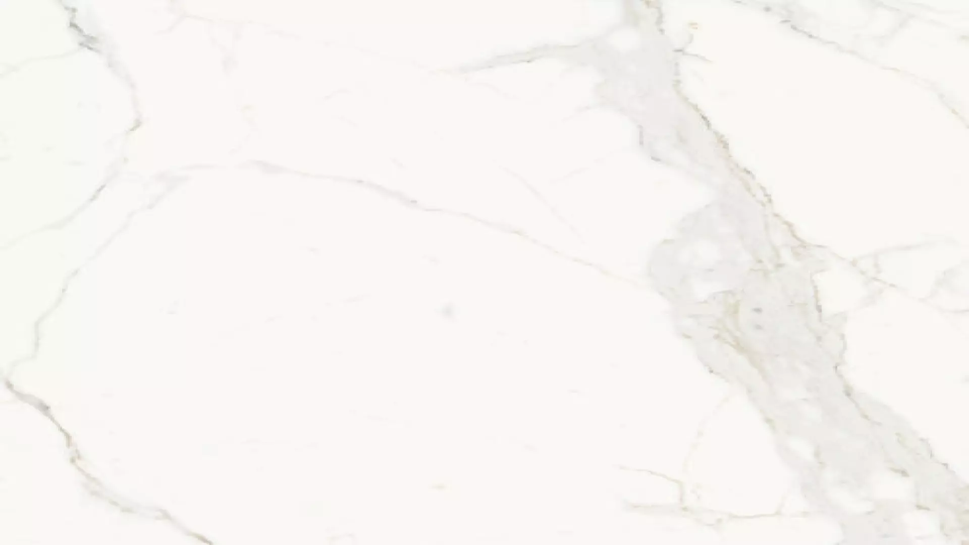 Magnifica Nineteen Forty-Eight 48" X 48" - 8 mm Honed Porcelain Tile In Super White material